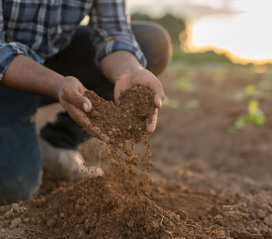 Gärtner in einem Gartenbaubetrieb lässt Erde durch seine Hände rieseln
