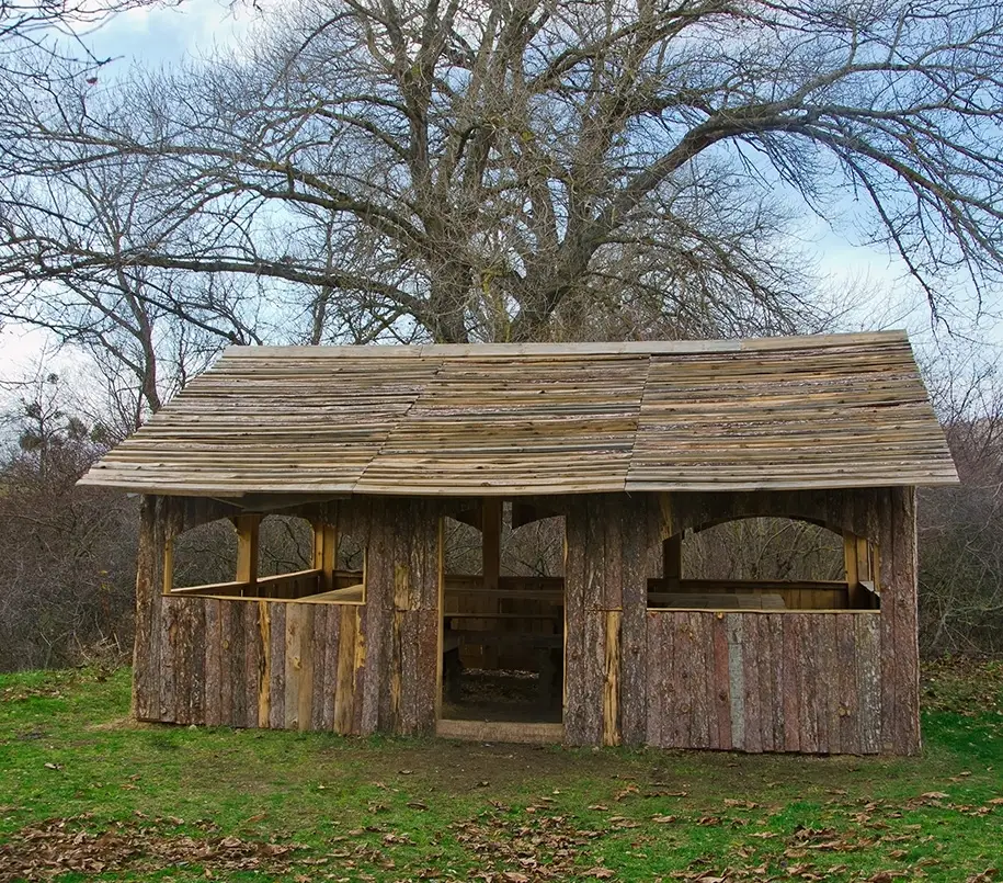 Alte Holzhütte vor einem Baum
